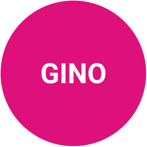 gino-de-vinci-facbook