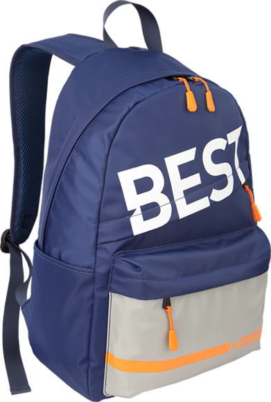 BSB-3290